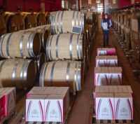 Château Puech-Haut offre 36 bouteilles à ses clients pro (RVF - Idelette Fritsch)