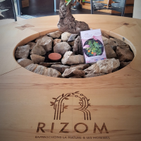 RIZOM - une table connectée et végétalisée sur la terrasse O'Sud - août 2020