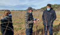 Scarlett Ruggiero, Sylvain Fadat et Mathieu Boudet dans les vignes d'Aupilhac - février 2021