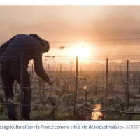 Il ne faut pas désagriculturaliser la France comme elle a été désindustrialisée! Figaro avril 2021- photo SEBASTIEN SALOM-GOMIS/AFP