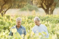 Domaine Terrebrune