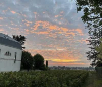 Domaine M&eacute;o-Camuzet