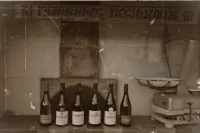 Domaine Les Grandes Costes