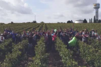 Domaine Landron