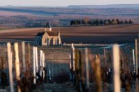 Domaine Pattes Loup Domaine Pattes Loup