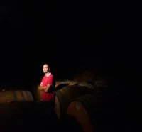 Les Vignes Oubli&eacute;es