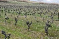 Domaine Peut &ecirc;tre