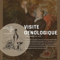 Visite oenologique au Musée Fabre avec les Grés de Montpellier