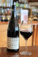Les M&eacute;moires 2017 75cl rouge - Domaine Les Roches Neuves