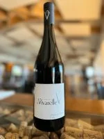 Madame R&ecirc;ve 2019 75cl rouge - Domaine La Vivarelle