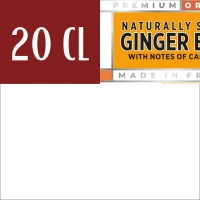 Ginger beer 25 cl - 
