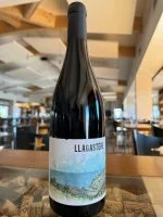 Llagastere 2022 75cl rouge - Domaine Llagastere