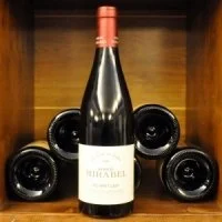 Chant du Sorbier 2020 75cl rouge - Domaine Mirabel
