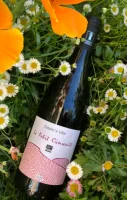 Le Petit Cinsault 2025 75cl rouge - Domaine Le Sollier